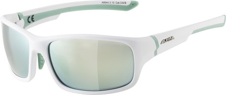 Očala Alpina Lyron S